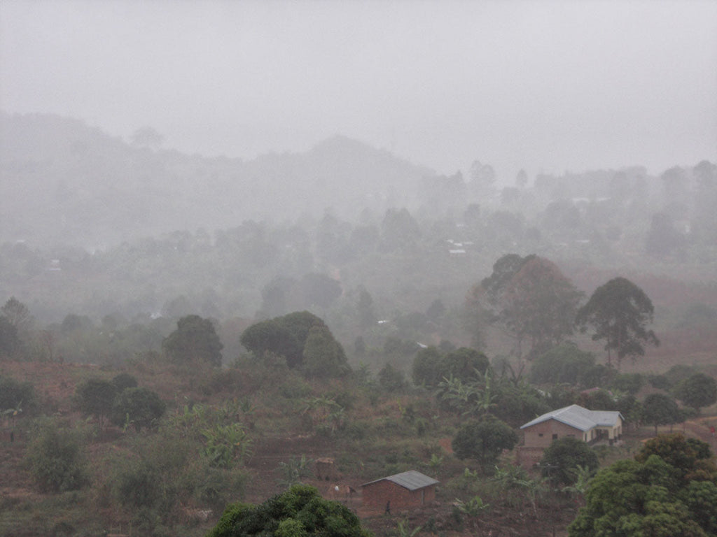 The Spectacular Journey of Mahenge Spinel: From Tanzanian Earth to Global Gemstone Markets